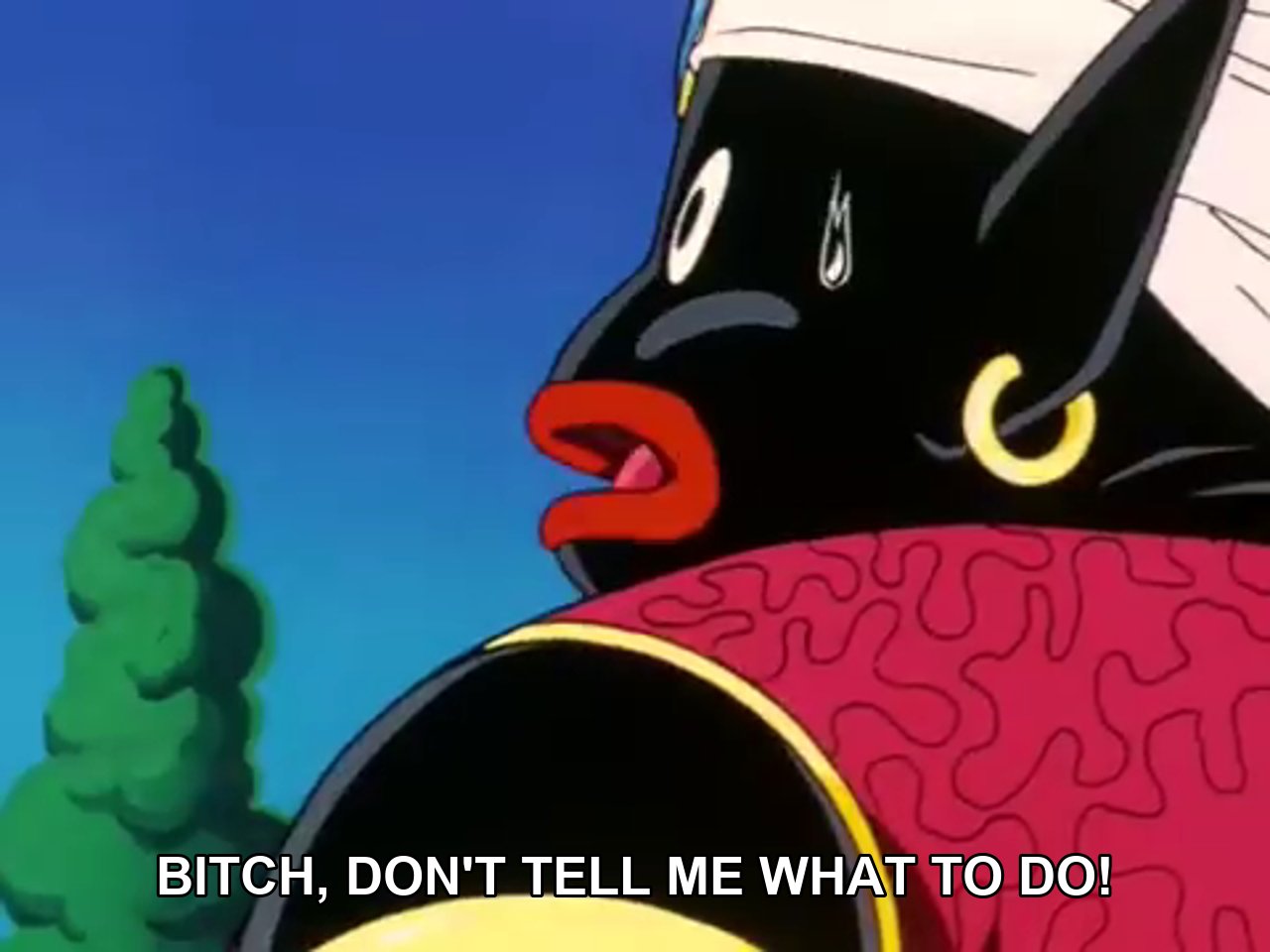 Bitch don't tell me what to do.