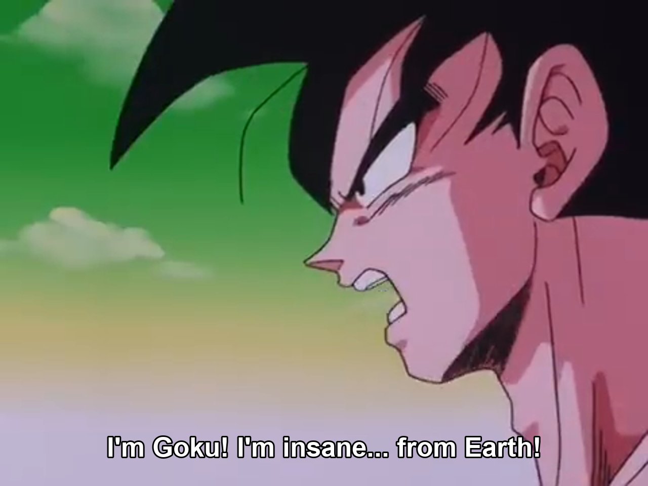 I'm Goku. I'm Insane. From Earth.