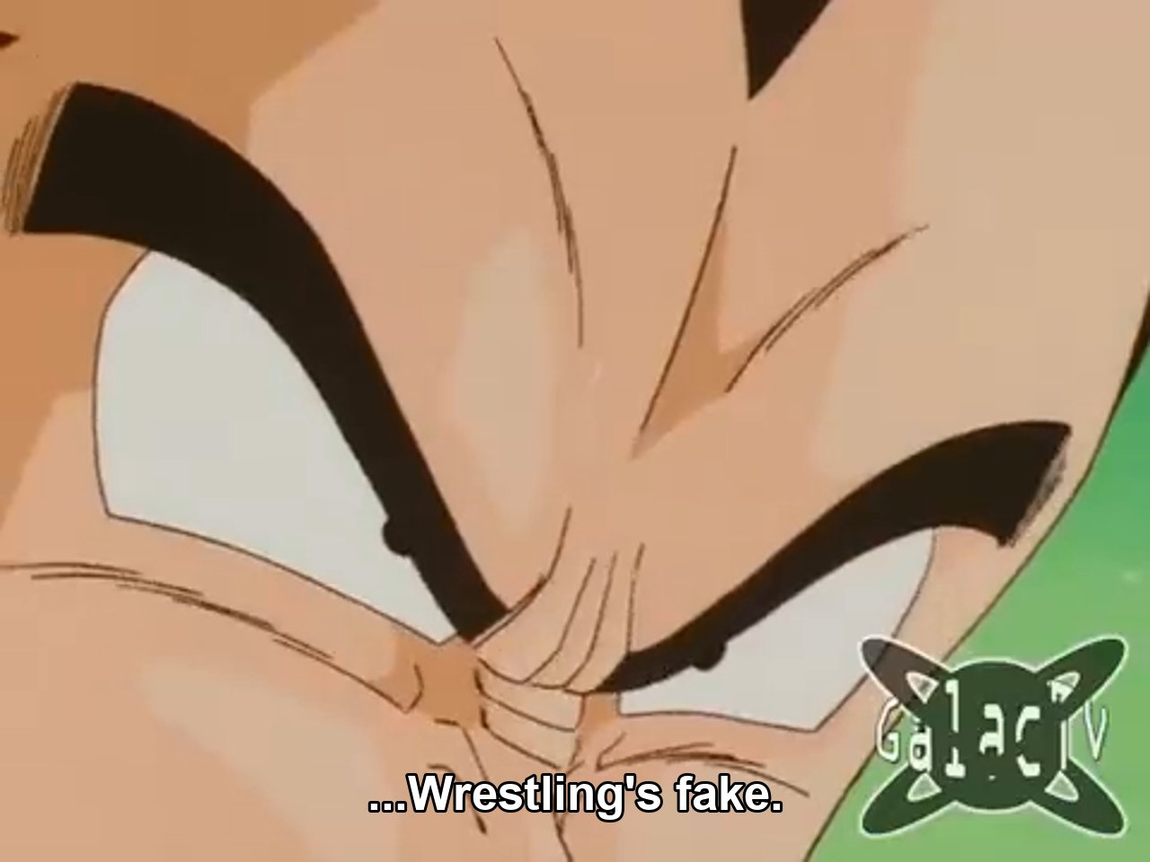 ....wrestling's fake