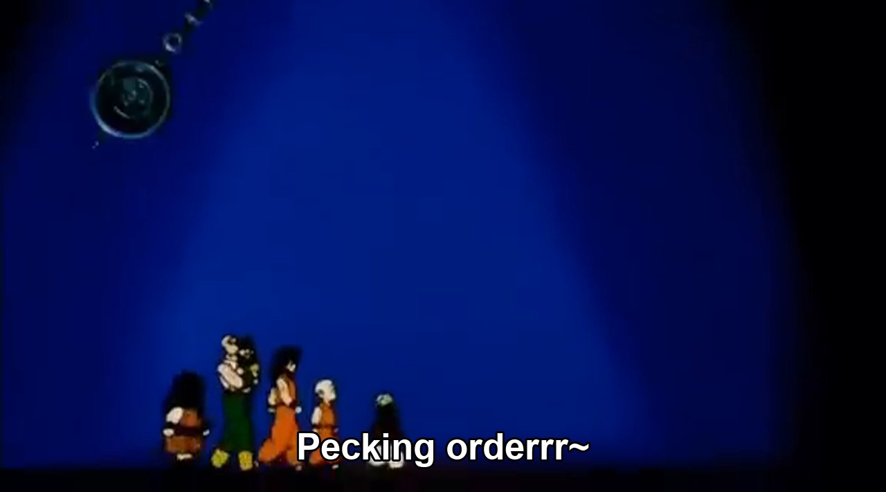 Pecking Order