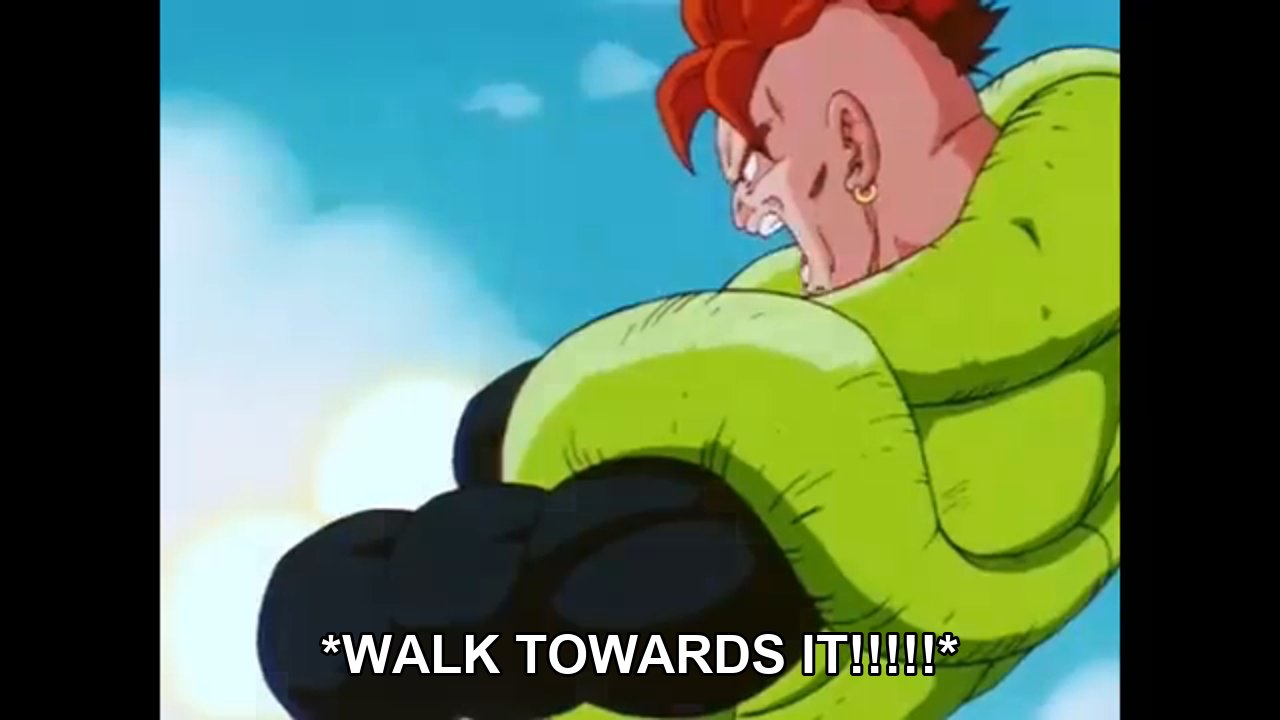 16: 'WALK TOWARDS IT!'