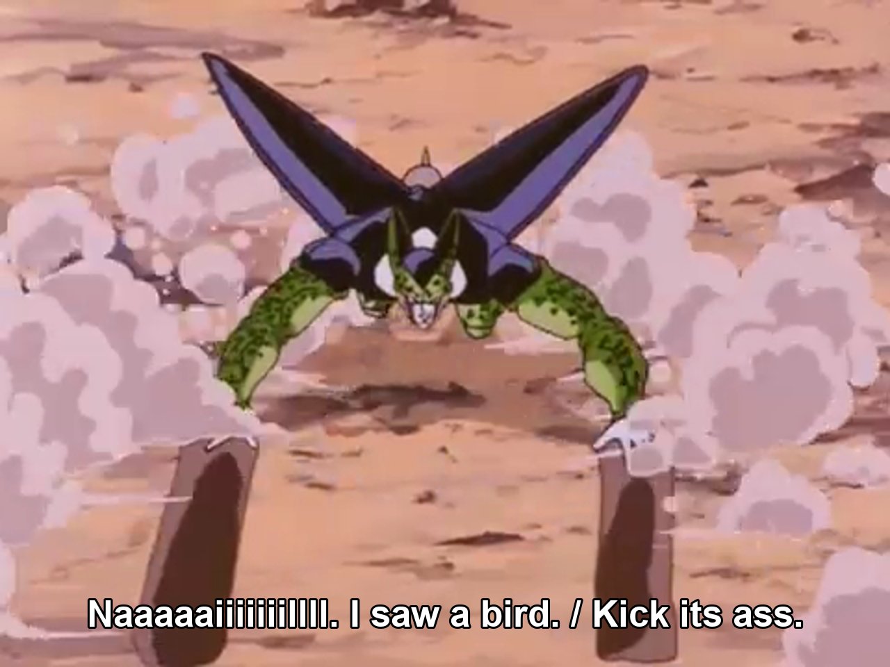 Naaaaaiiiiiiillll. I saw a bird. / Kick its ass.